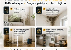 Profesionalus pel?sio spor? šalinimas||Atsikratykite pel?sio kvapo namuose||HEPA+UV+ozonas – švarus oras||Po užliejimo – pel?sio spor? kontrol?||Saugus oras J?s? šeimai dabar||Pel?sio sporas šaliname efektyviai